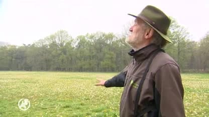 Nog nooit zo vroeg in het jaar zo droog in Brabant, desastreus voor weidevogels, bos en hei