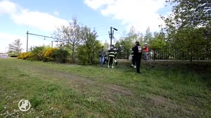 Brandweer bevrijd ree uit hekwerk bij treinstation Thialf in Heerenveen