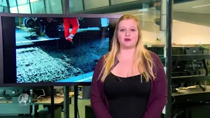 Verkeersinformatie: Allerheiligen en herfstweer zorgen voor drukke spits