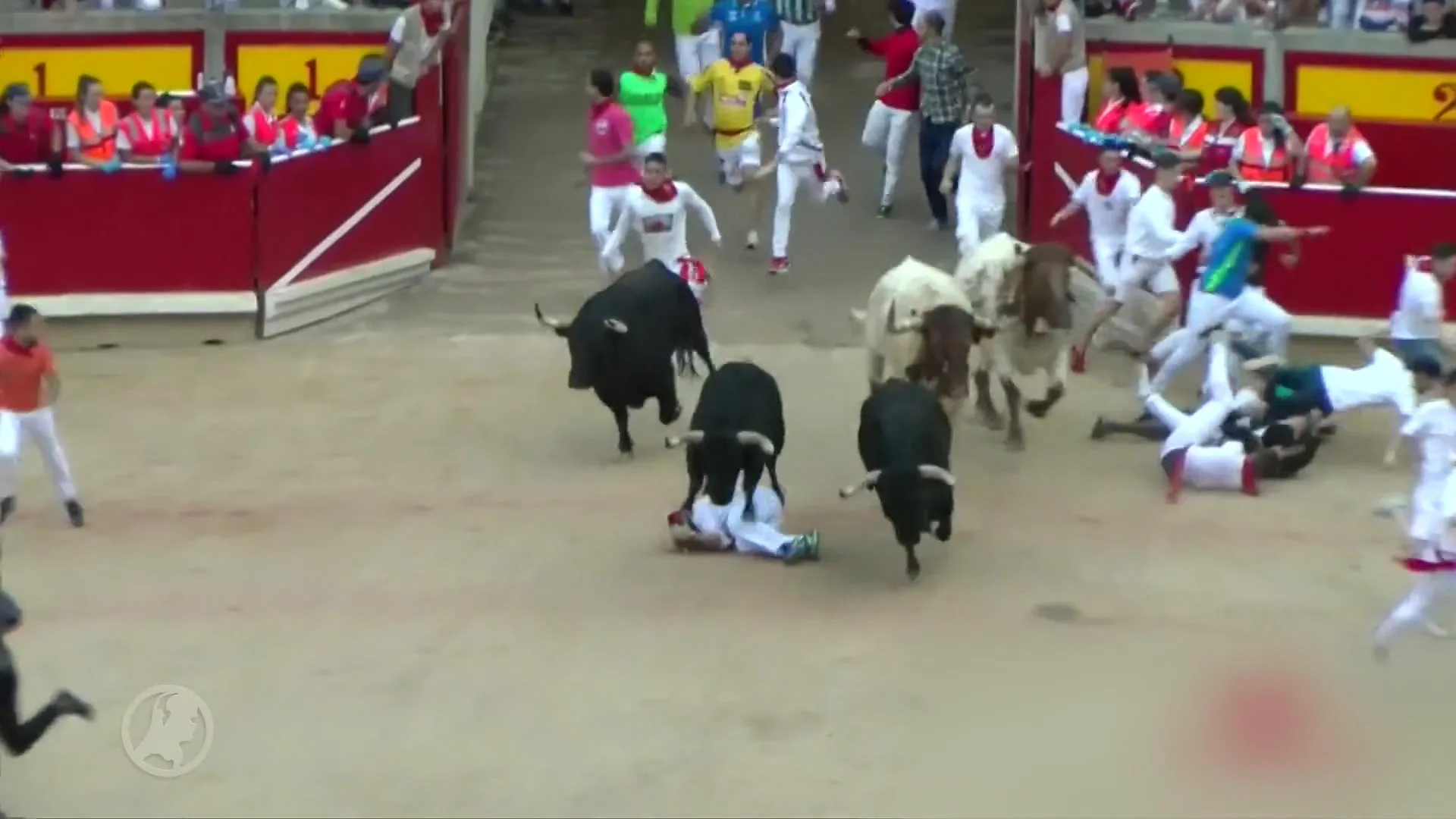 Stieren in de straten van Pamplona