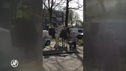 Oma Jopie (99) kan niet bij 'haar' politiepaarden, dus komen ze naar haar