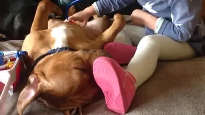 Video: Meisje speelt doktertje met Stafford