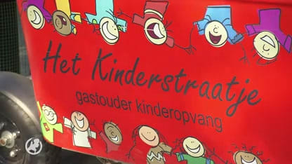 Nieuwe veiligheidseisen voor stint voordat die weer de weg op mag