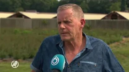 Zes nertsenbedrijven geruimd vanwege corona, stopregeling voor fokkers