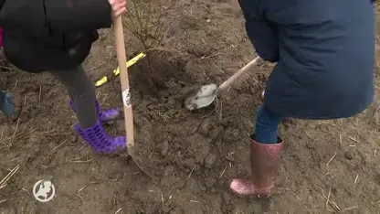 Honderdduizend kinderen planten klimaatbomen op Boomfeestdag