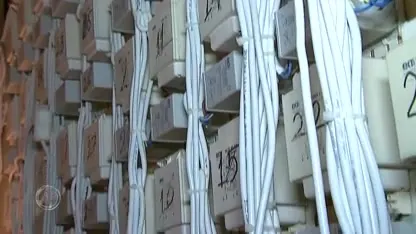 Vier aanhoudingen bij actie tegen hennepteelt in Limburg