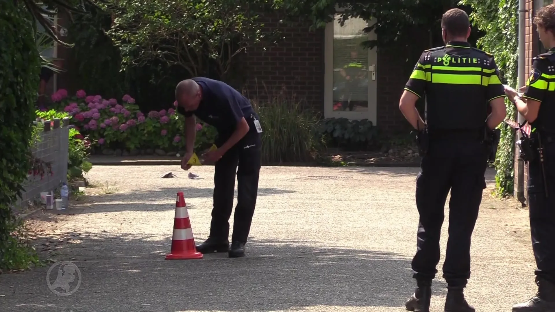 Politie lost schot op vluchtende automobilist in Wijk bij Duurstede