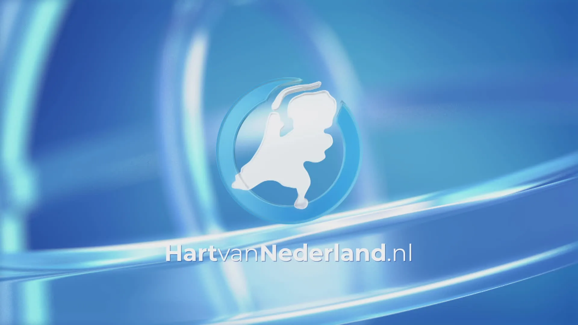 Automobilist neemt de benen na aanrichten ravage Tilburg