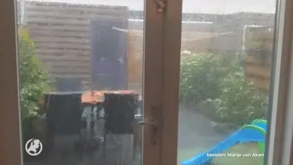 Zwolle rouwt om fietsster die overleed onder omgevallen boom: 'Ik denk al de hele dag aan haar man'