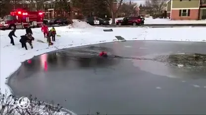 Jochie (11) vast in modderige bedding van bevroren vijver