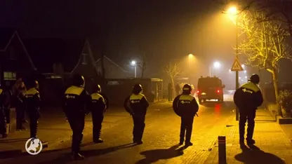 Boa's houden hun hart vast voor oud en nieuw