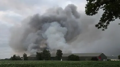 Verdachte van brand waarbij 100.000 kuikens omkwamen blijft in cel