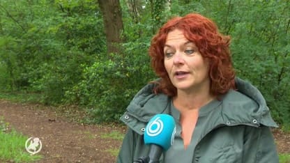 Drenthe zet vol in op Nederlandse toerist