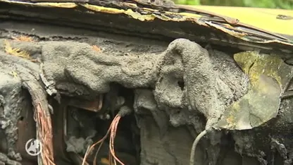 Onverlaten steken auto in brand en filmen eigen daad