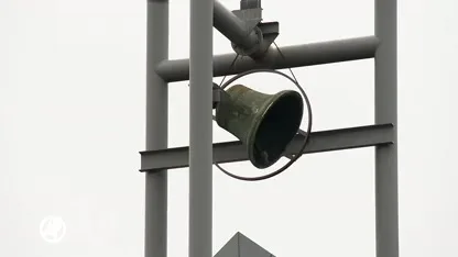 Pulsvissers gefrustreerd over aanstaand verbod: ''Innovatie wordt de nek omgedraaid''