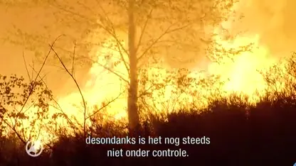 Heidebrand in Nationaal Park de Meinweg: camping en manege ontruimd