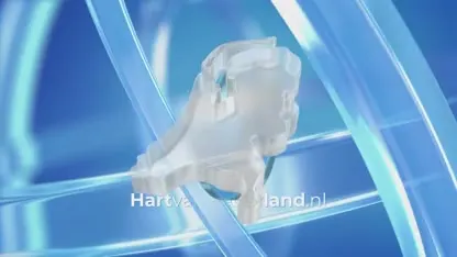 Auto raakt van de weg en ramt gevel van woning in Schijndel