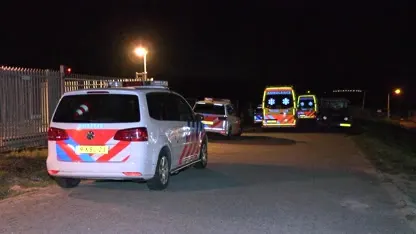 Vijf gewonden na aanvaring tussen tanker en cruiseschip op Westerschelde