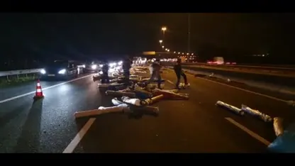 Vrachtwagen verliest honderden tapijten op A16