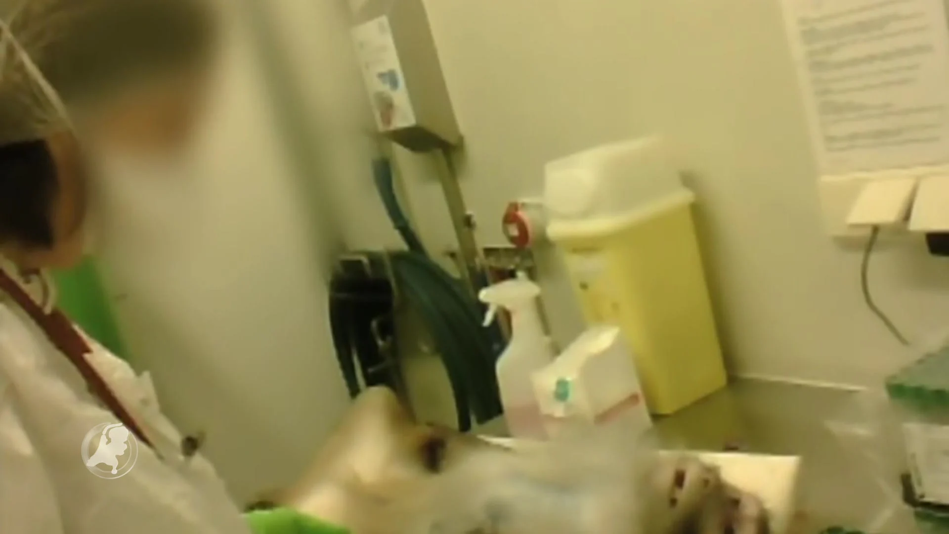 Gruwelbeelden uit apencentrum in Rijswijk: 'Centrum moet zo snel mogelijk dicht'