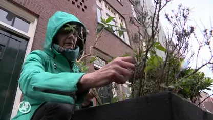 Stoeptegel gesloopt voor plant: 250 euro boete