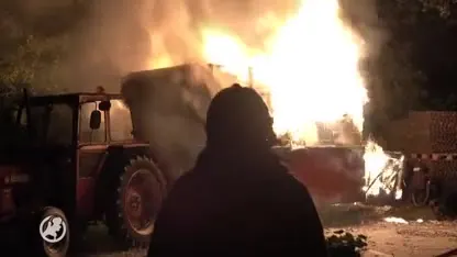 Pipowagen brandt uit in Zaandam: twee kittens en poes dood