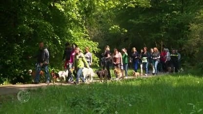 Stille tocht voor vermoorde vrouw bij Scheveningse Bosjes