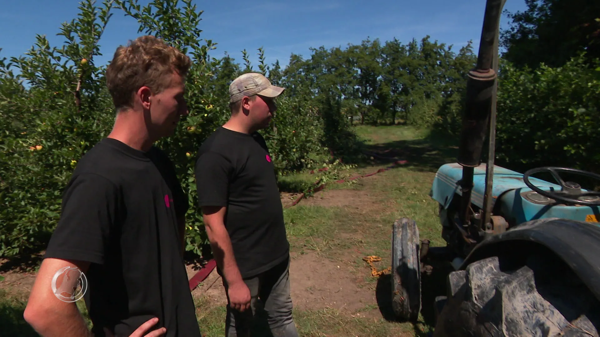 Ravage aangericht bij fruitteler: 'agriterreur?'