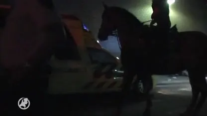 Coldcase heropend, wie stak Richard (25) in 2010 dood?