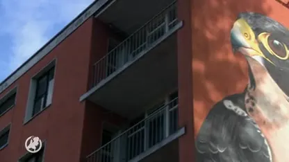 Bewoners sloopflats Capelle aan den IJssel zijn bang dat ze straks op straat staan