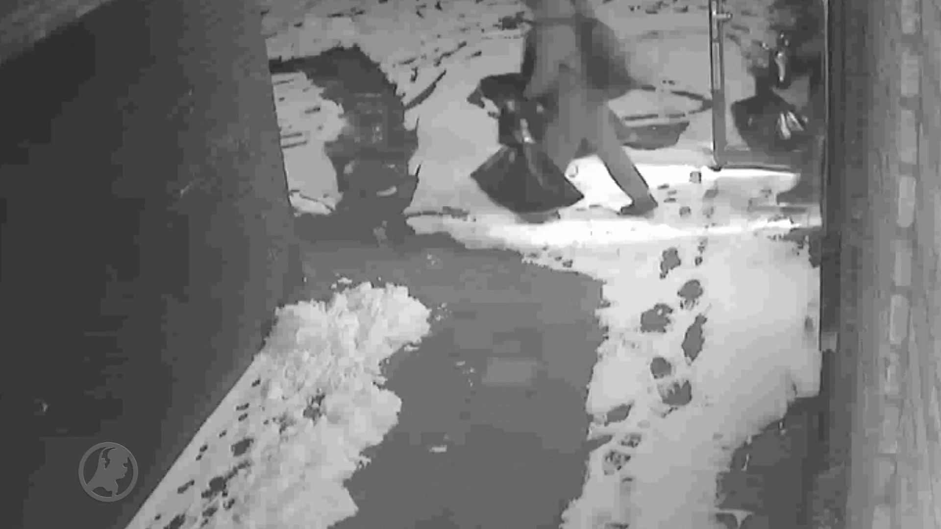 Advocaat: 'Familie beveiliger kluisjesroof Oudenbosch doodsbang'