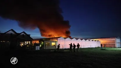 Veel rook bij grote brand in plantenkwekerij De Lier