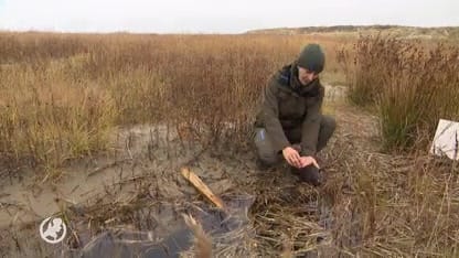 'Leger aan vrijwilligers' nodig om Schiermonnikoog ooit weer schoon te krijgen