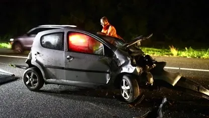 Hond gewond aan poot na botsing tegen vangrail A50 bij Epe