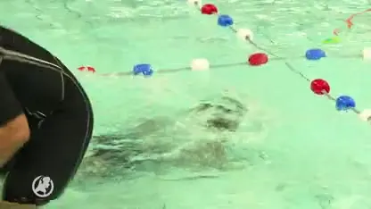 Gratis zwemles voor ruim 700 kinderen in Rotterdam