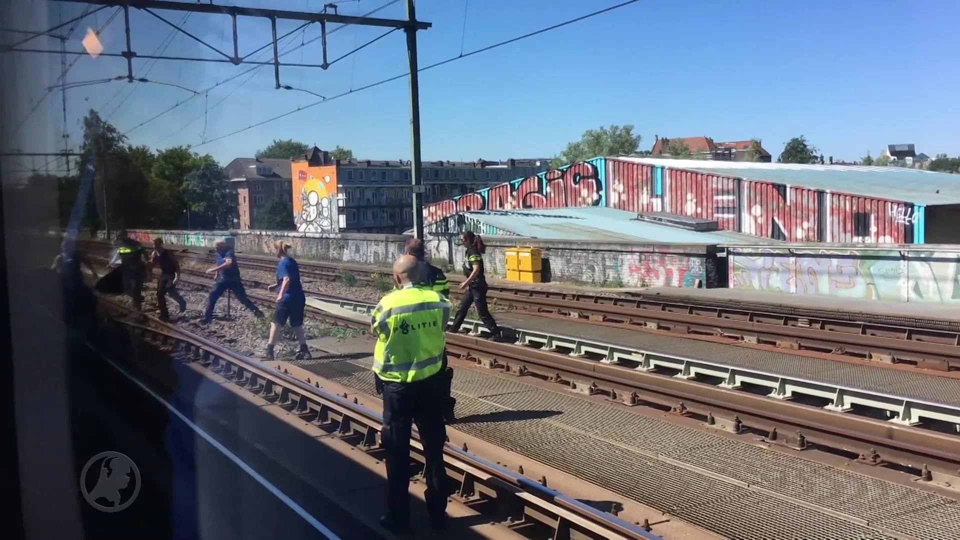 Pelikaan ontsnapt uit Artis, gered op spoor bij Muiderpoort