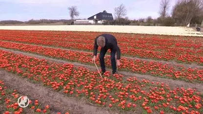 Een selfie tussen de bloemen? Vertrap onze bollen niet!