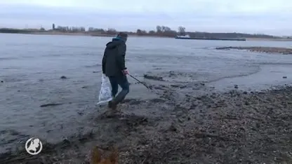Wandelaars doen lugubere vondst in Weurt: 'Twee voeten met de sokken er nog aan'