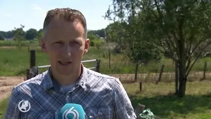 Boeren kunnen rekenen op subsidie voor maatregelen tegen rondzwervende wolven