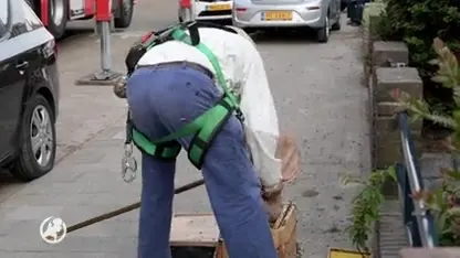 Imker krijgt hulp van brandweer