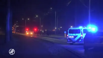 Hond overleden bij aanrijding in Best, zijn baasje raakt zwaar gewond