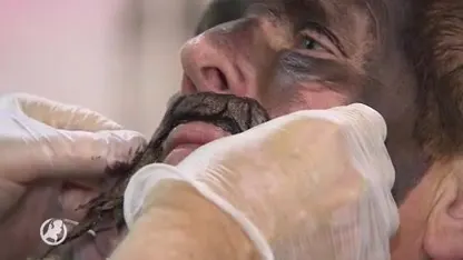 World Living Statues voor de allerlaatste keer, de stekker gaat er uit