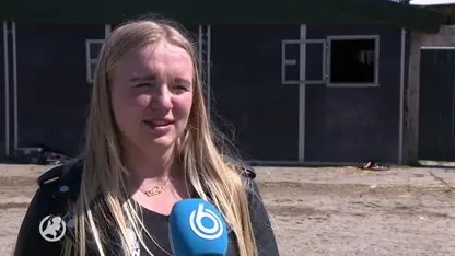 Paard Twix schrikt van wensballon en raakt ernstig gewond, eigenaren zamelen geld in voor herstel