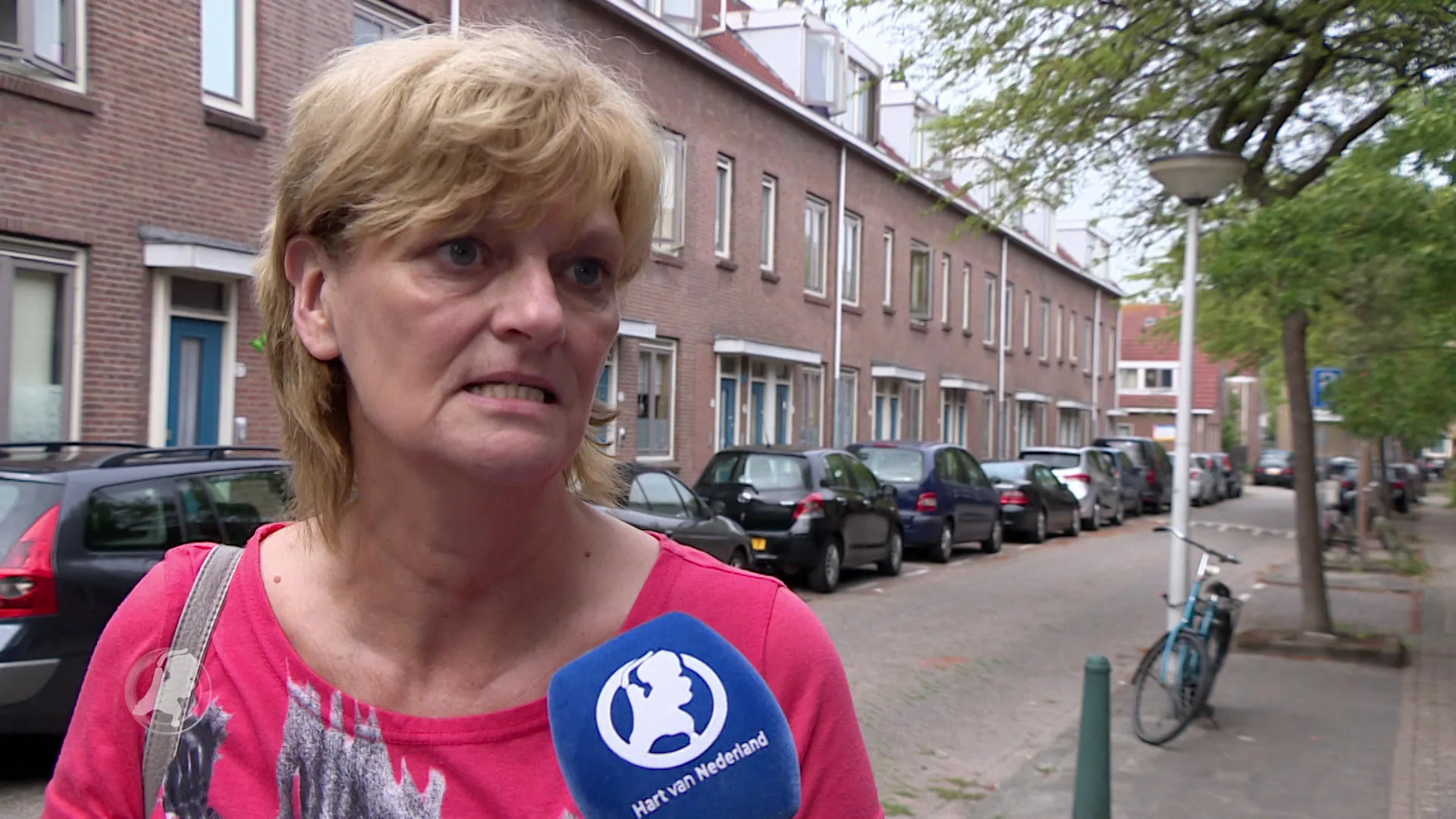 Vrouw zwaargewond door aanval hond in Rotterdam