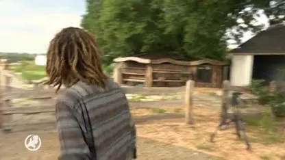 Dream or Donate-eigenaar Mastenbroek moet zich melden bij de politie