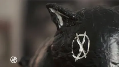 Dit zijn de eerste beelden van Man bijt hond