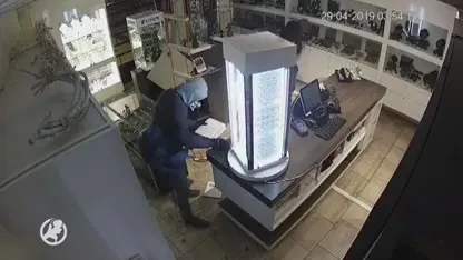 Inbrekers dringen juwelierswinkel in Emmen binnen met touwladder