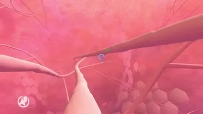 Friezen slepen prestigieuze prijs binnen met VR-bril tegen chronische pijn