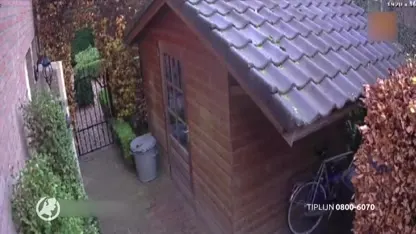 Gewapende overvaller bedreigt oma, moeder en kindje (2) met wapen