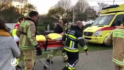 Twintig Nederlanders gewond na frontale botsing tussen twee boten in Antwerpen